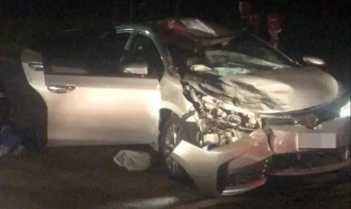 Colisão com vaca deixa veículo destruído na PR-364 entre Palotina e Terra Roxa