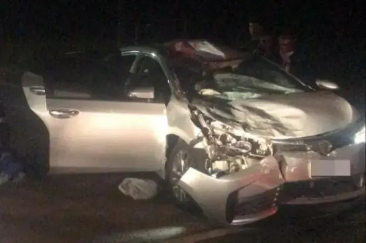 Colisão com vaca deixa veículo destruído na PR-364 entre Palotina e Terra Roxa