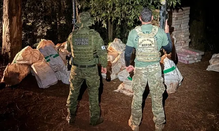 PF e BPFRON apreendem mais de 4 toneladas de maconha em Terra Roxa