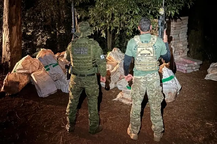PF e BPFRON apreendem mais de 4 toneladas de maconha em Terra Roxa