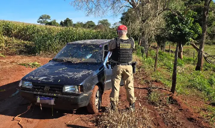PRE apreende carregamento de cigarros contrabandeados entre Terra Roxa e Palotina