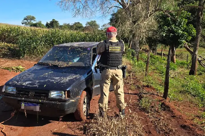 PRE apreende carregamento de cigarros contrabandeados entre Terra Roxa e Palotina