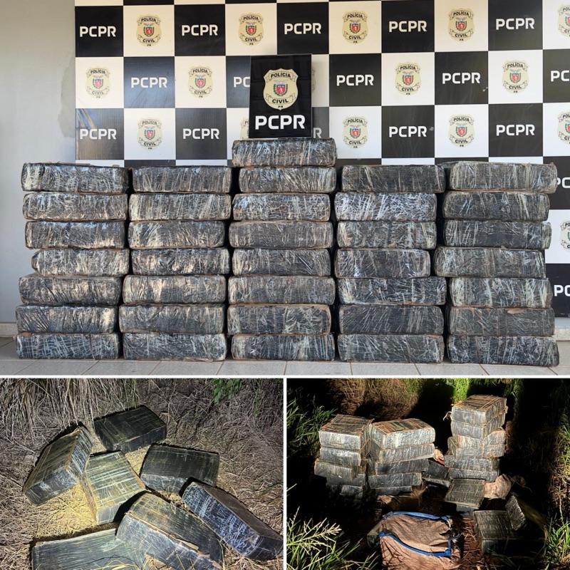 Guaíra – Polícia Civil apreende mais de 600 kg de maconha