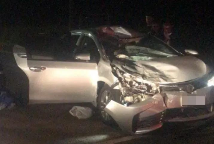 Colisão com vaca deixa veículo destruído na PR-364 entre Palotina e Terra Roxa